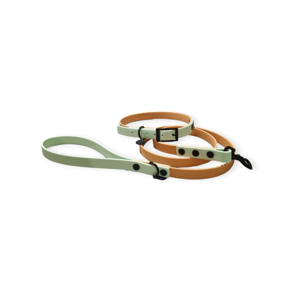 Waterproof Collar - Two Tone | Pastel Green & Tan