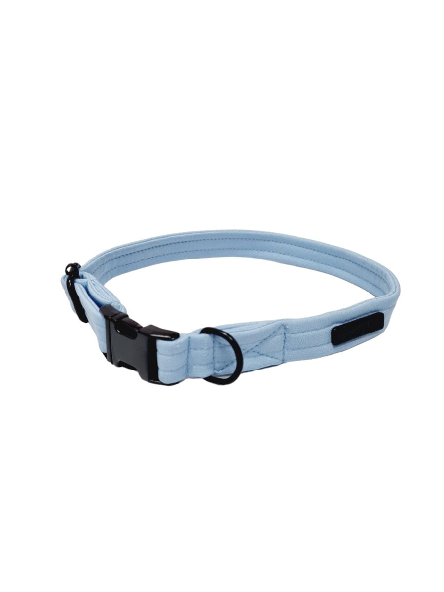 Collar | Blue – Dear Pet Company