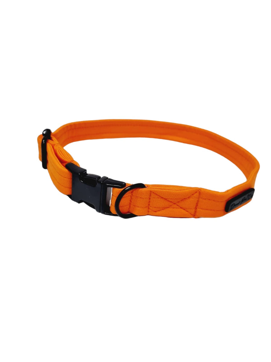 Colla Dear Collar | Orange – Dear Pet Company
