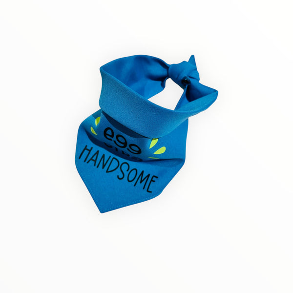 Bandana | Egg-Stra Handsome