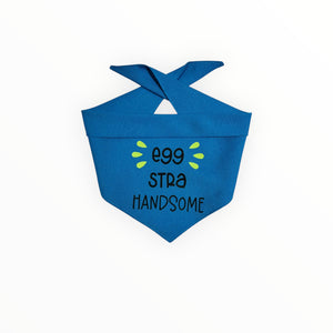 Bandana | Egg-Stra Handsome