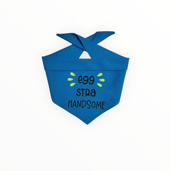 Bandana | Egg-Stra Handsome