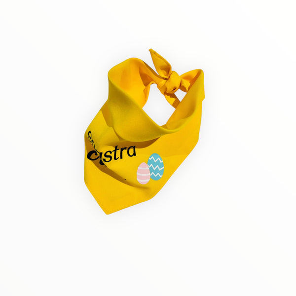 Bandana | Eggstra Cute
