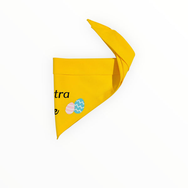 Bandana | Eggstra Cute
