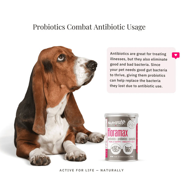 NutriFlex® FloraMax Natural Prebiotic & Probiotic for Dogs and Cats