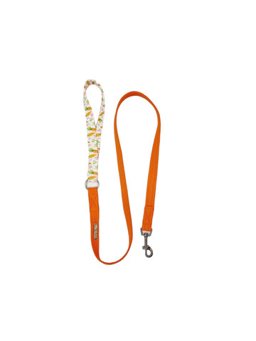 Combo Leash | For The Love of Carrots x Easter Orange