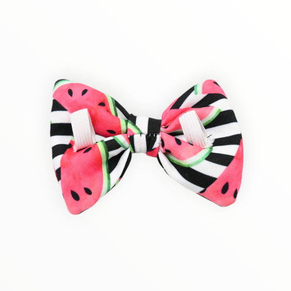 Bow Tie | Melon Delight