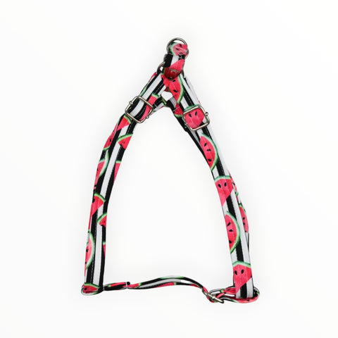 Strap Harness | Melon Delight