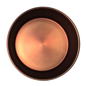 Zaara Pet Bowl