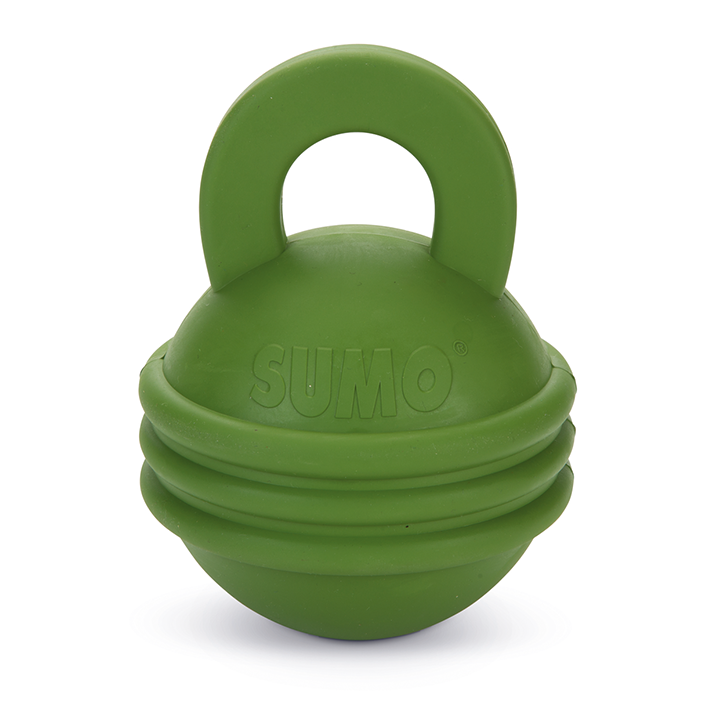 Pet Toy | Beeztees Sumo Play Kettlebell