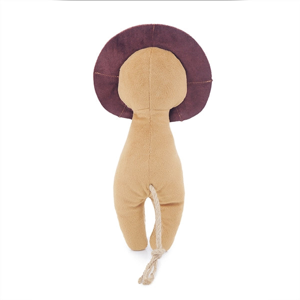 Pet Toy | Rosewood Eco Friendly Lion