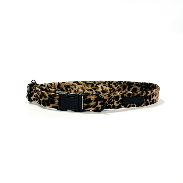 Collar | Luxurious Leopard