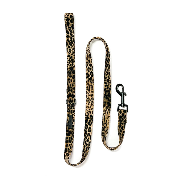 Leash | Luxurious Leopard
