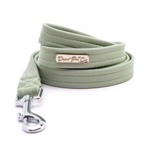Leash | Mint Mojito - Dear Pet Company