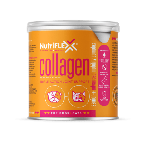 NutriFlex® Collagen For Dogs+Cats Advanced Mobility Complex