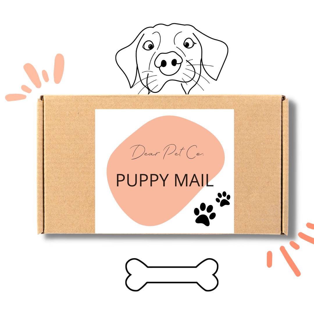 Dear Pet Monthly Puppy Mail Subscription | Medium Female Breed