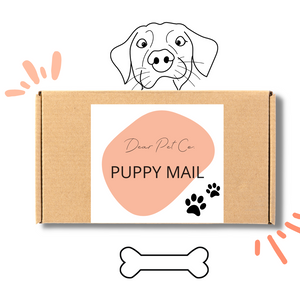 Dear Pet Monthly Puppy Mail Subscription | Small Female Breed