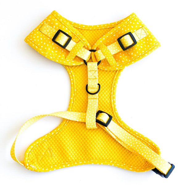Adjustable Chest Harness | Sunflower Fields - Dear Pet Company