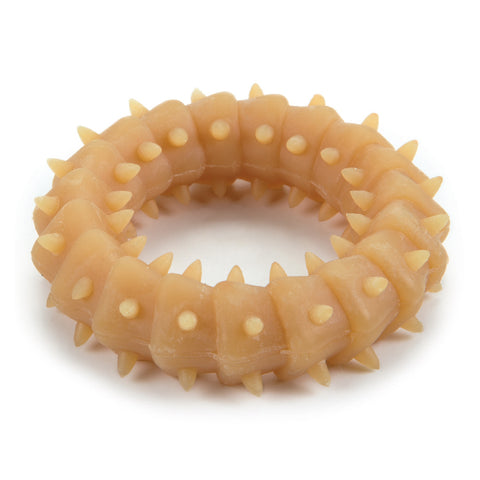Pet Toy | Beeztees Puppy Natural Ring