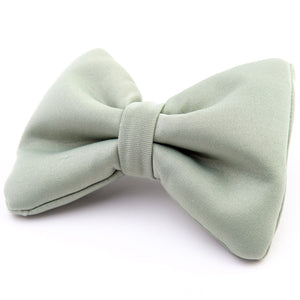 Bow Tie | Mint Mojito - Dear Pet Company