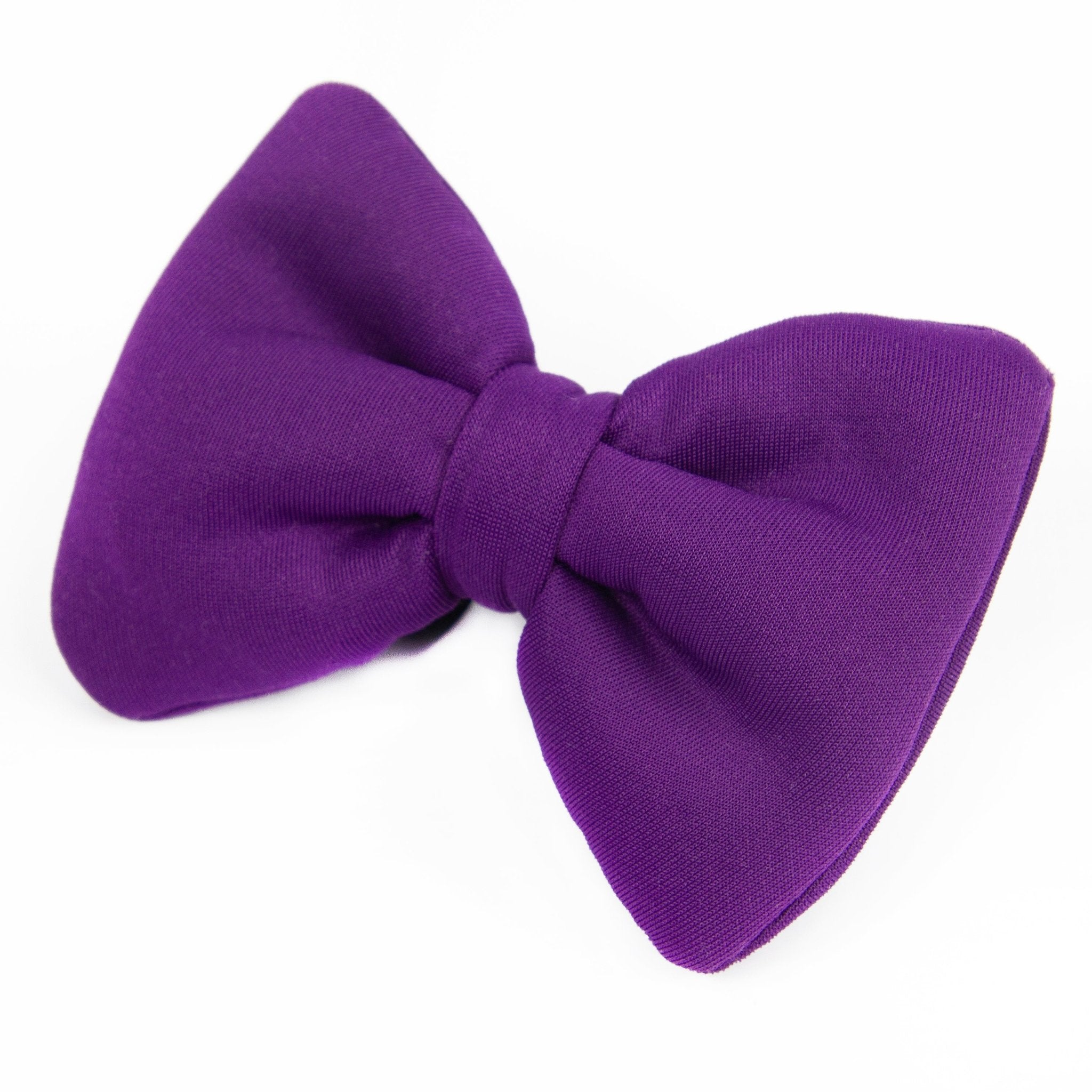Bow Tie | Passionately Purple - Dear Pet Company