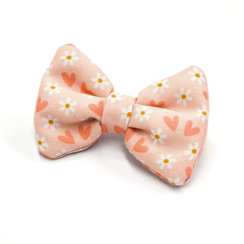 Bow Tie | Pink Blossom - Dear Pet Company