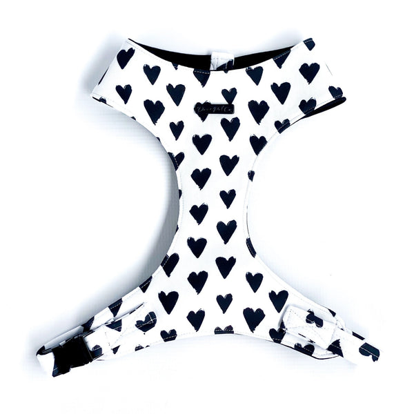 Chest Harness | Love Letter - Dear Pet Company