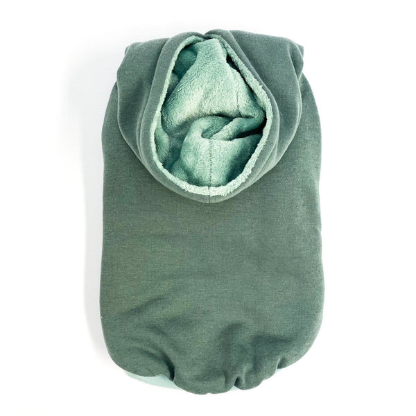 Hoodie | Tails in Teal - Dear Pet Company