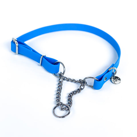 Martingale Collar | Sky Blue - Dear Pet Company