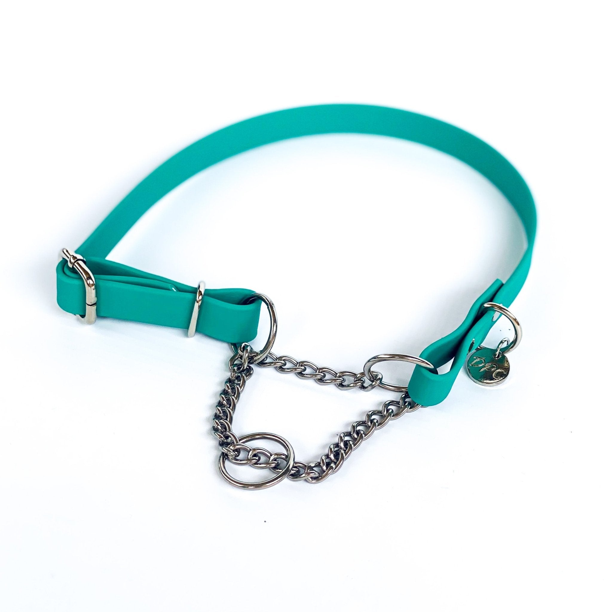 Martingale Collar | Turquoise - Dear Pet Company