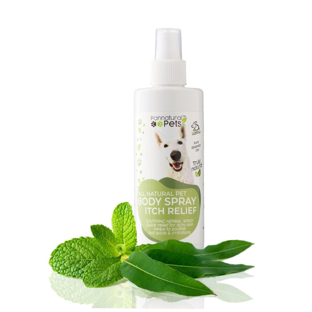 Pannatural Pets Itch Relief Spray - Dear Pet Company