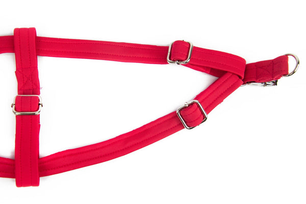 Strap Harness | Into The Fuchsia - Dear Pet Company