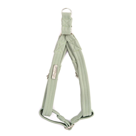 Strap Harness | Mint Mojito - Dear Pet Company