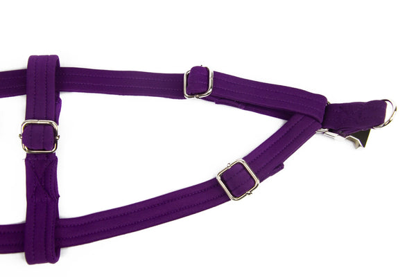 Strap Harness | Passionately Purple - Dear Pet Company