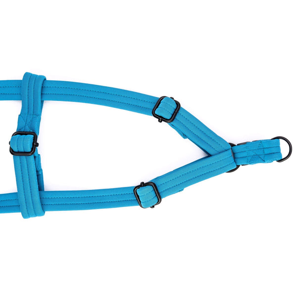 Strap Harness | Surfing The Waves - Dear Pet Company