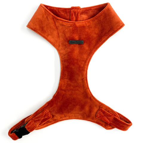 Velvet Chest Harness | Flaming in Orange - Dear Pet Company