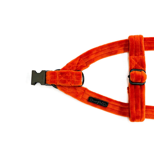 Velvet Strap Harness | Flaming in Orange - Dear Pet Company