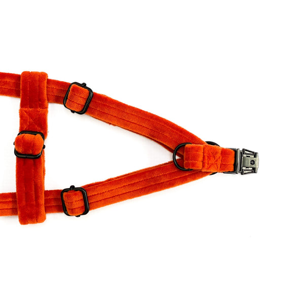 Velvet Strap Harness | Flaming in Orange - Dear Pet Company