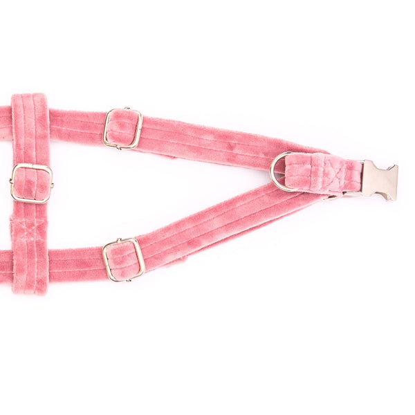 Velvet Strap Harness | Strawberry Milkshake - Dear Pet Company