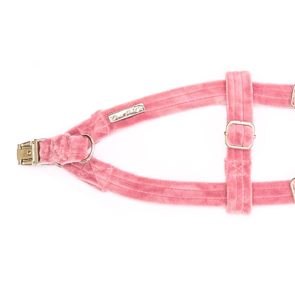 Velvet Strap Harness | Strawberry Milkshake - Dear Pet Company