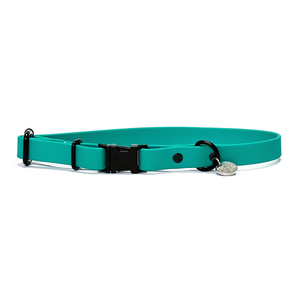 Waterproof Collar | Turquoise - Dear Pet Company